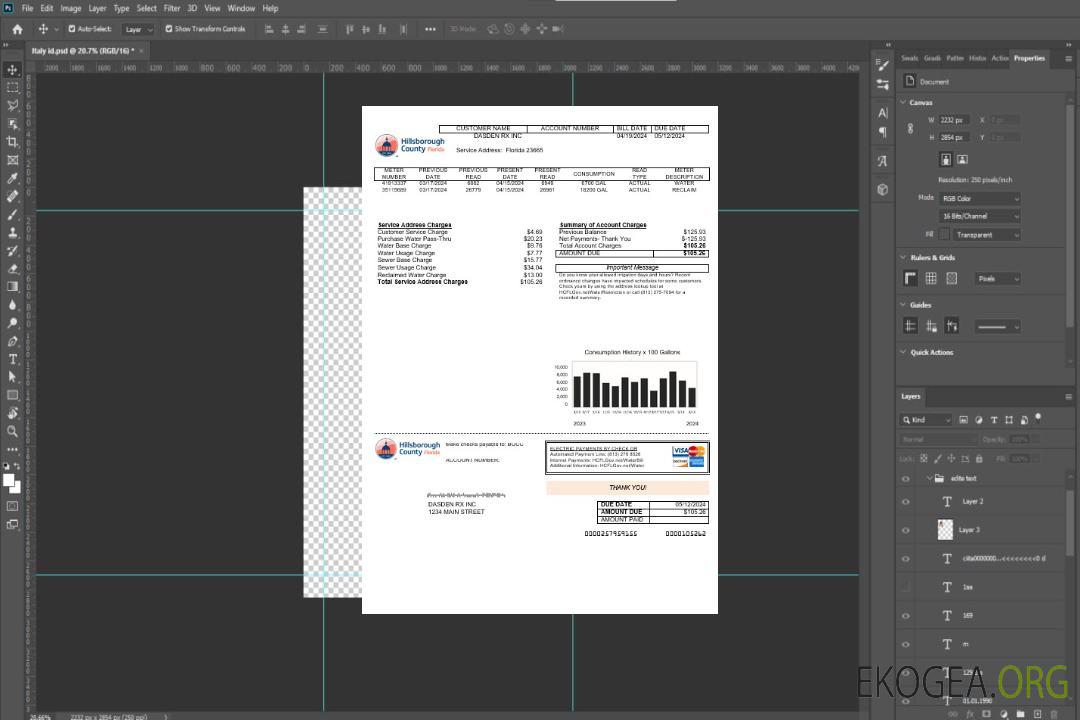 Modèle de facture de services publics du comté de Hillsborough aux États-Unis aux formats Word et PDF template